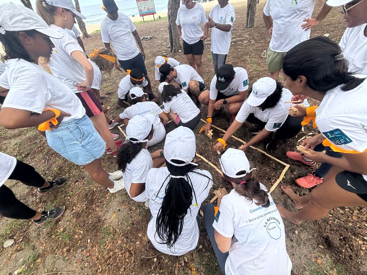 Construction en bambou par équipes lors d'un team building nature à La Réunion